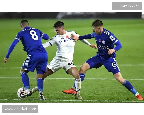 球迷热议本赛季争冠格局与新星崛起走势解析深度观察未来变数前瞻 - 副本 (2) - 副本