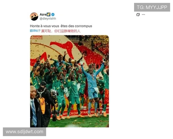 世界足球盛宴激战正酣 各队精彩表现引球迷热议 - 副本 (2)